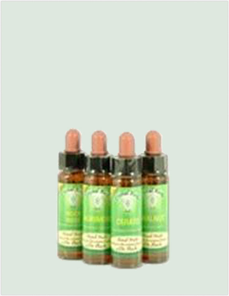 Elm - Bach Flower Remedies 10ml
